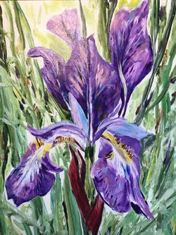 Irises