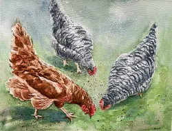 Peck away Watercolour Painting by Anna Krause