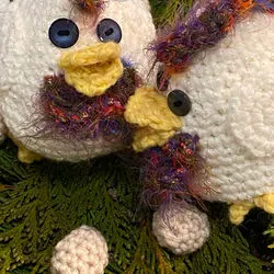 Chicky Talky by Jenny Nixon