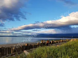 The Light