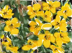Aconites e-painting