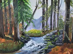Forest River
