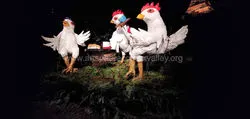 Three French Hens Photography by Bonnie Luterbach