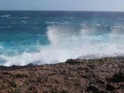 Kate Brown Windy Aruba