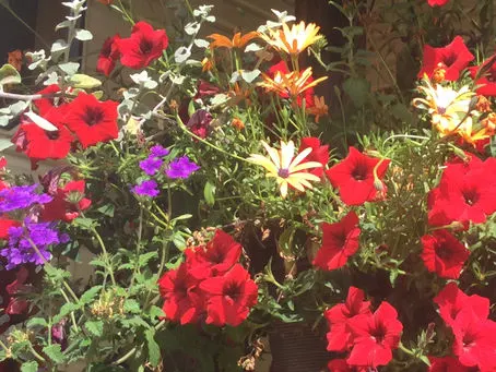 Mother's Day Florals with Kate and Dorothy